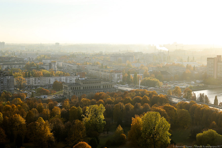Фото — Виталий Невар, «Новый Калининград.Ru»