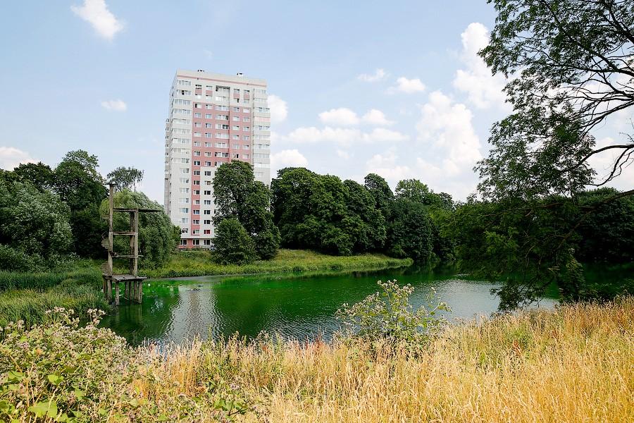 Страшный сон Тортиллы: почему вода в Ялтинском пруду стала ядовито-зеленой (фото)