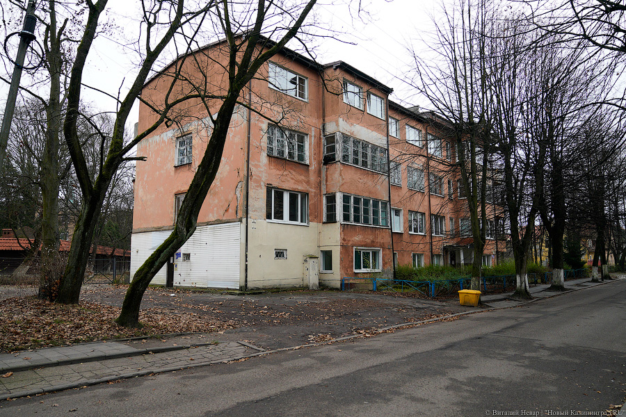 Дятлова поддержала намерение снести здание поликлиники на ул. Расковой в Калининграде