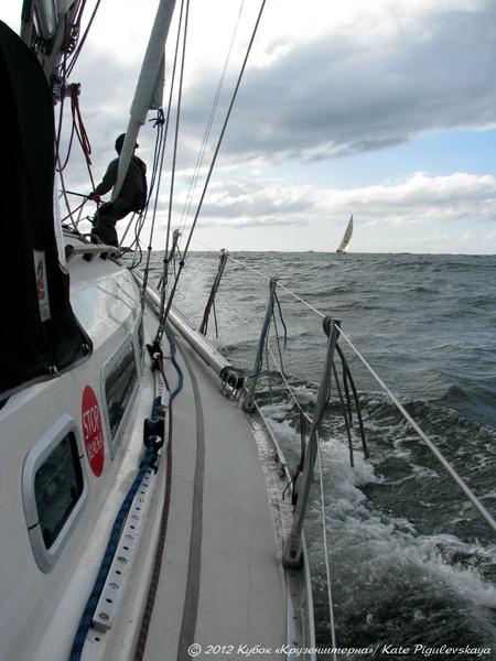 «Море волнуется»: фоторепортаж с регаты на кубок барка «Крузенштерн»