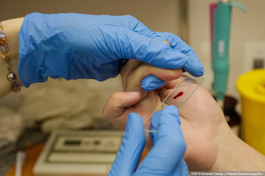 В 2018 году два десятка калининградцев подверглись нападению диких животных