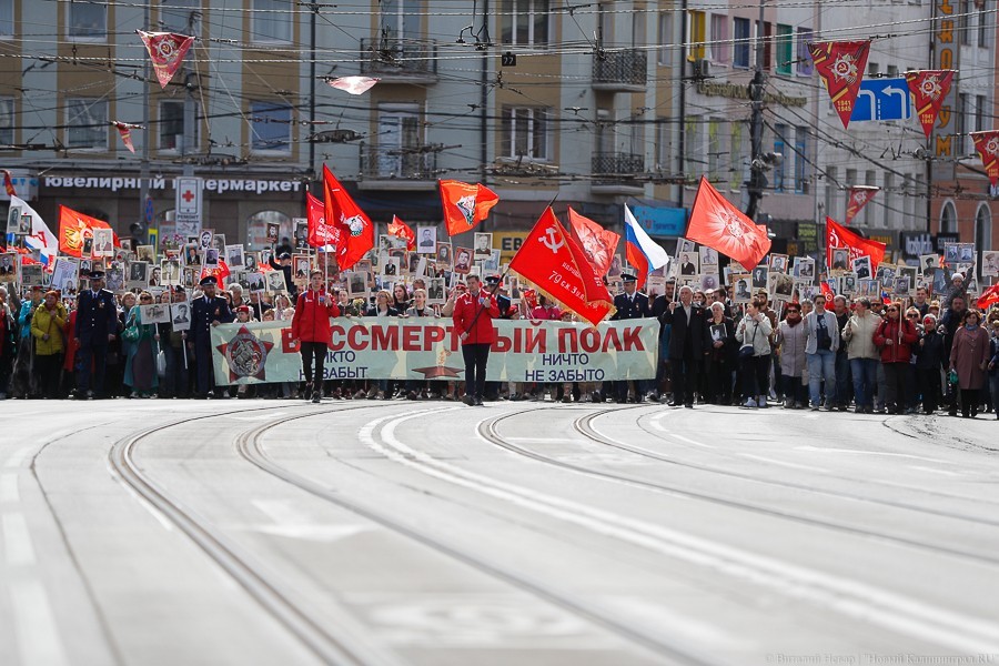 Администрация Калининграда опубликовала схему движения «Бессмертного полка» 9 мая