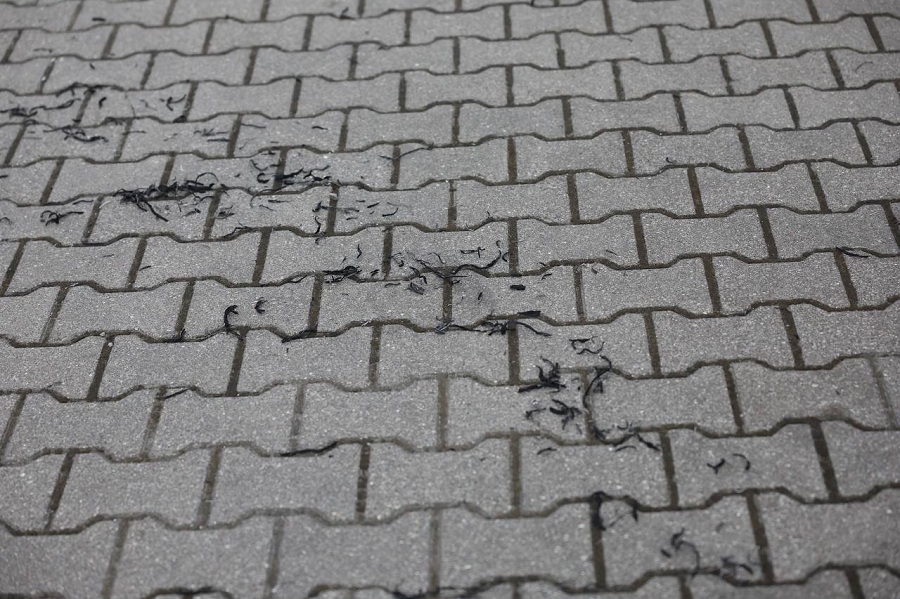 «Тушение затруднено сложностью подхода»: в МЧС прокомментировали пожар на Острове (фото)