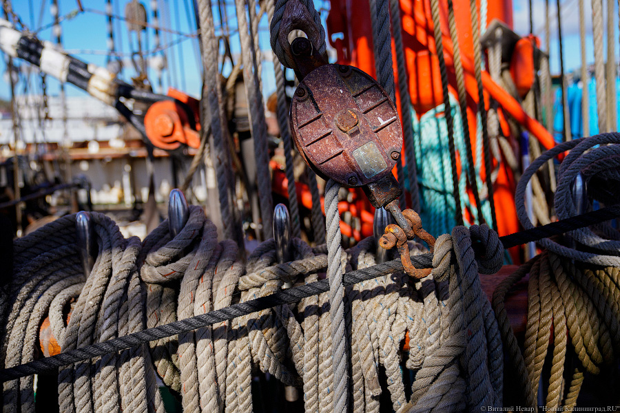 После кругосветки и перед новым рейсом: барк «Седов» проходит ремонт в Светлом (фото)