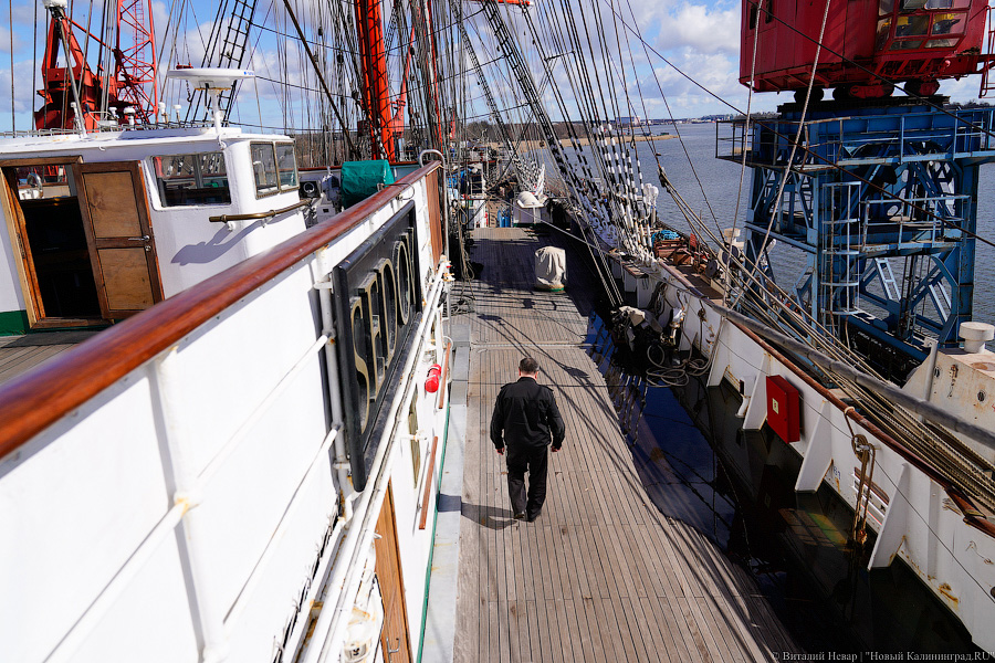 После кругосветки и перед новым рейсом: барк «Седов» проходит ремонт в Светлом (фото)