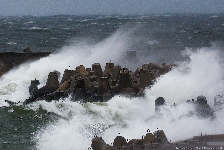 МЧС: в понедельник утром в Калининградской области ожидается усиление ветра