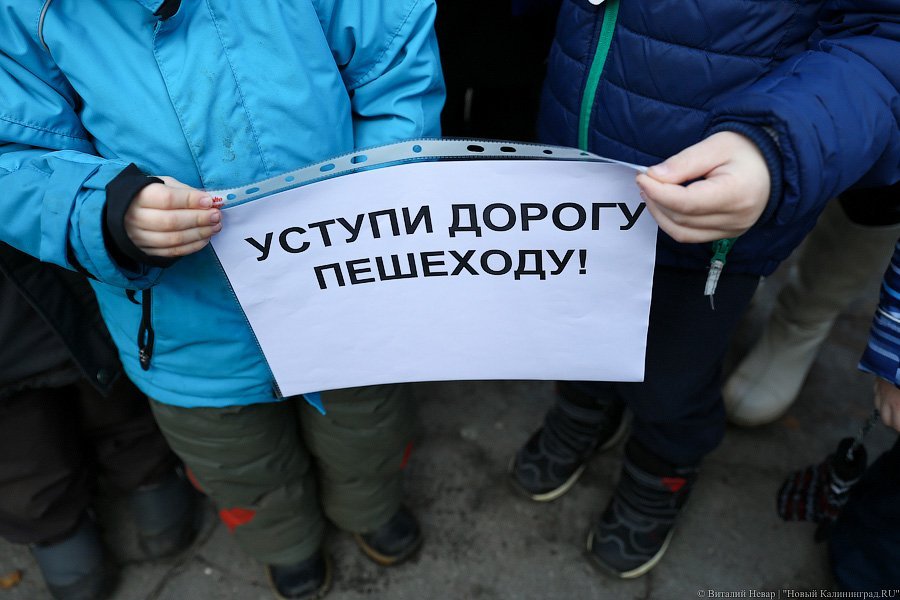«Заметьте нас»: в Калининграде дети вышли на пикет в поддержку пешеходов 