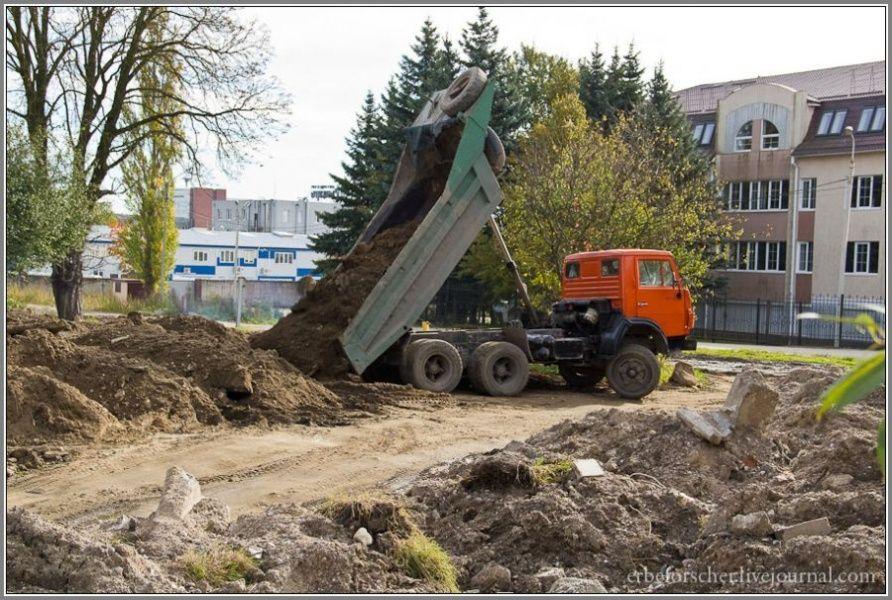 Рабочие раскопали захоронение на Моспроспекте, на земле валяются кости (фото)