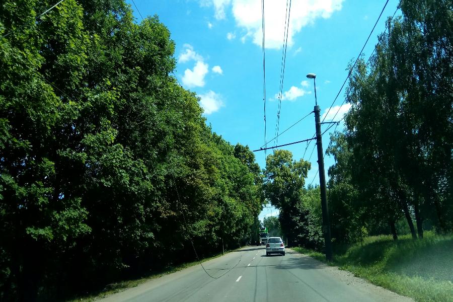 На ул. Емельянова на дорогу упали провода, движение затруднено (фото)