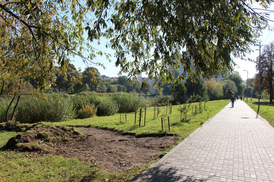 Фото – пресс-служба администрации Калининграда