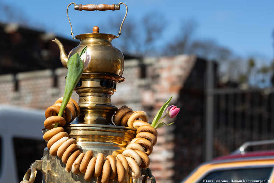 Цветочные баррикады: как выглядят улицы Калининграда 8 марта (фото)