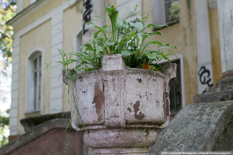 «Куда ушли детские сады. Продолжение»: фоторепортаж «Нового Калининграда.Ru» 