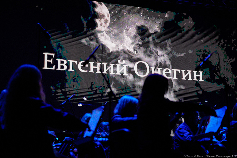 Опера с Хабенским: на острове Канта открылся фестиваль «Территория мира» (фото)