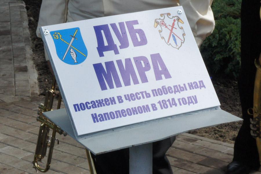 "Дерево войны и мира": фоторепортаж "Нового Калининграда.Ru"