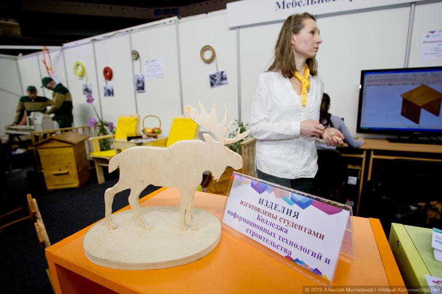 Жизнь как главный проект: выставка «PRO Ярмарка образования» в Калининграде