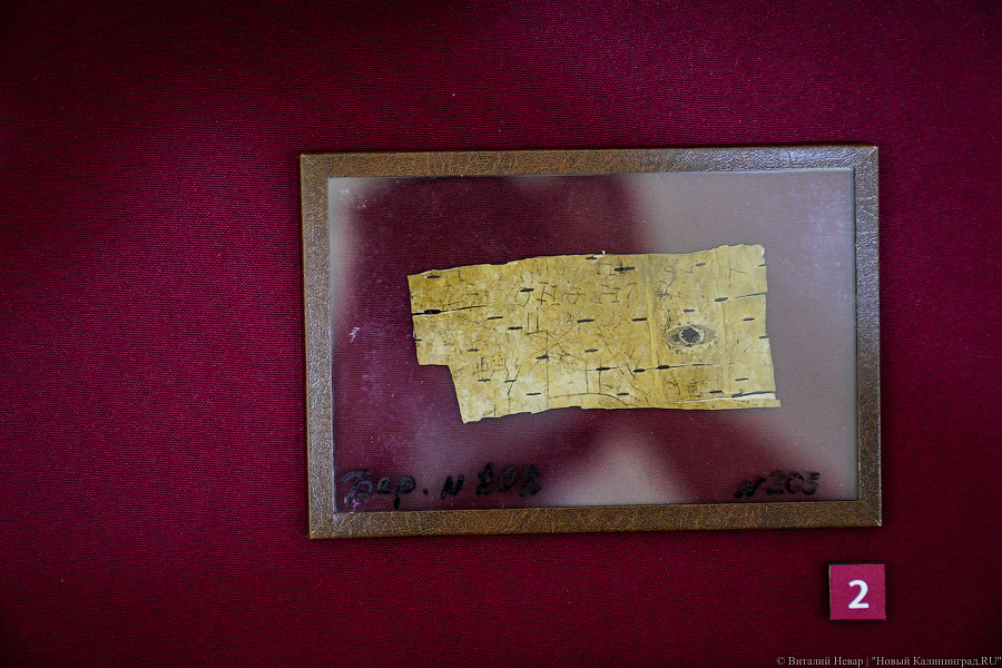 Письмо Канта: Государственный исторический музей привёз выставку в Калининград (фото)