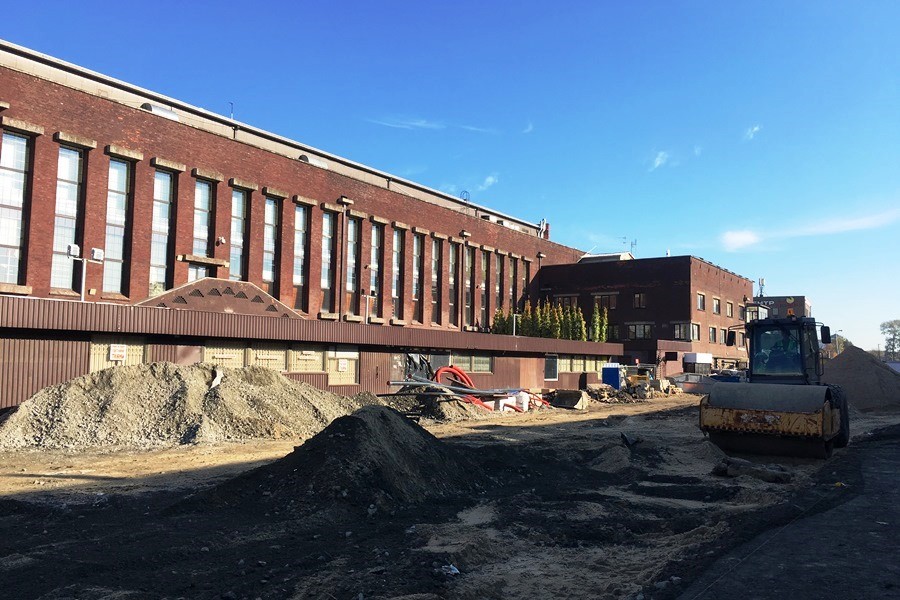 Фото — Татьяна Зиберова, «Новый Калининград»