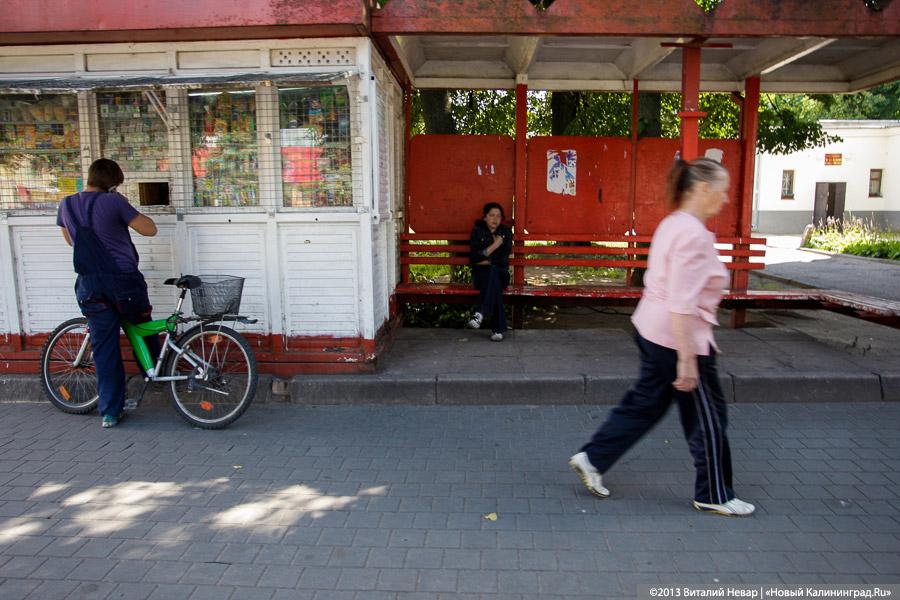 Лось, королева Луиза и старый трамвай: чем может привлечь туристов Советский Тильзит