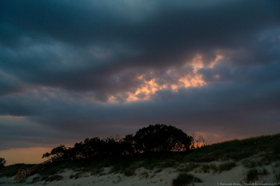 Погода в Калининграде 19 июня