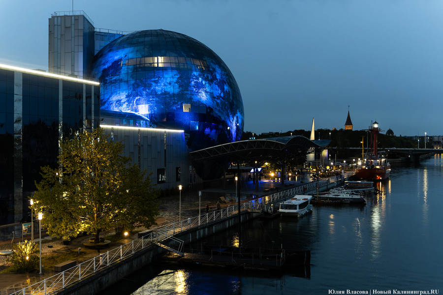 Путин исполнил желание мальчика из Подмосковья о поездке в Калининград с семьей