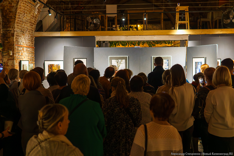 «О чем молчат деревья»: в Воротах открылась выставка, воспевающая придорожные аллеи (фото)