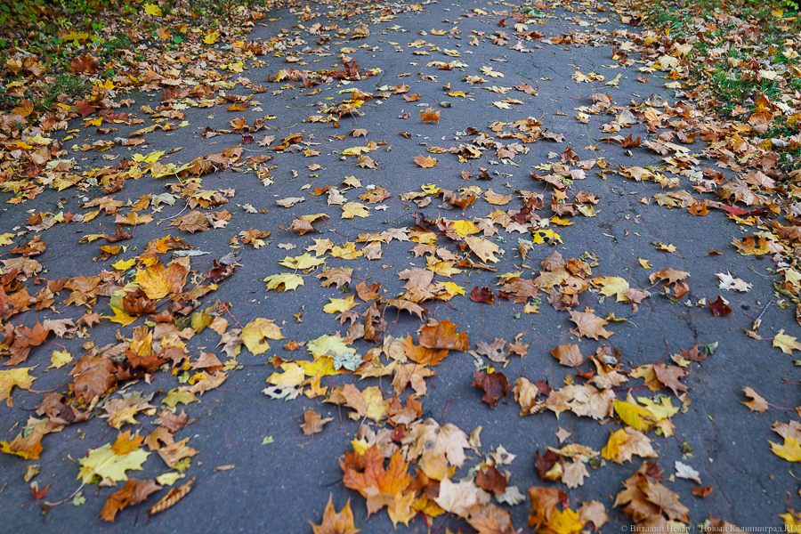 Эксперт БФУ рассказал, как низкое атмосферное давление влияет на самочувствие