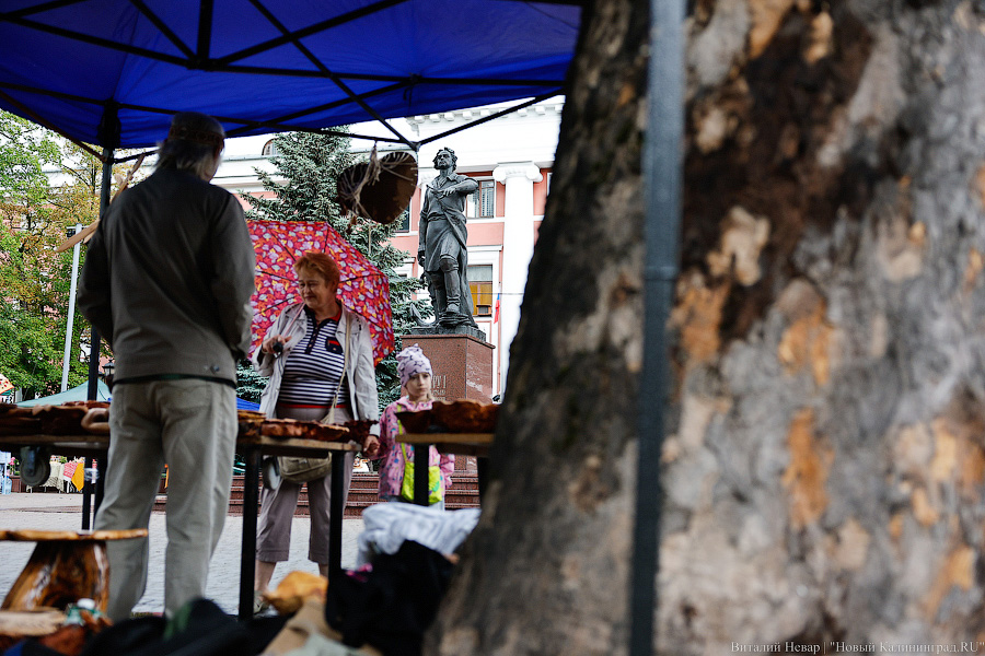 Праздник под дождем: как в Калининграде прошел День города (фото)