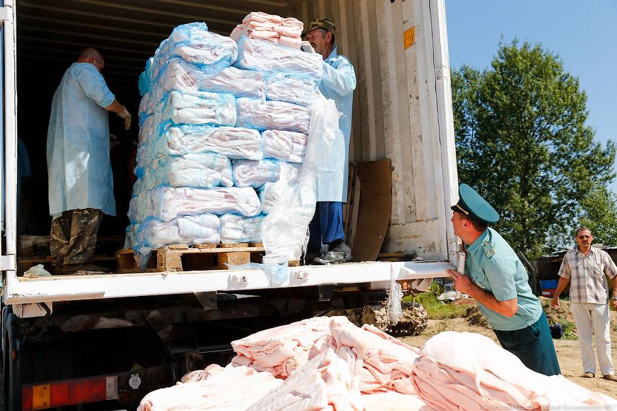 Похороны сала: как под Калининградом санкционную еду уничтожали