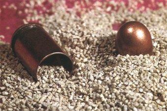 На калининградской таможне задержали взрывоопасный груз