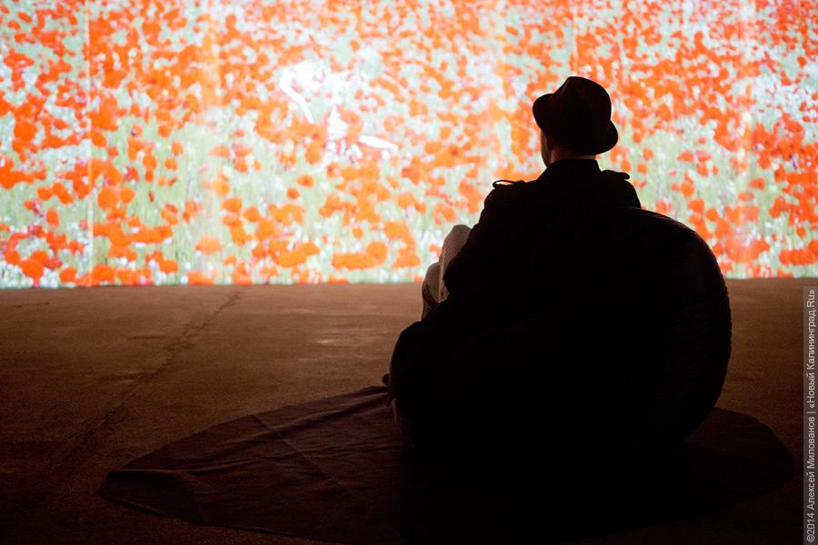 Фото — Алексей Милованов,  «Новый Калининград.Ru»