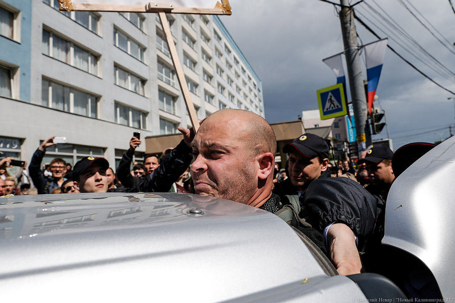 Утки-мандаринки: в Калининграде прошло шествие против коррупции