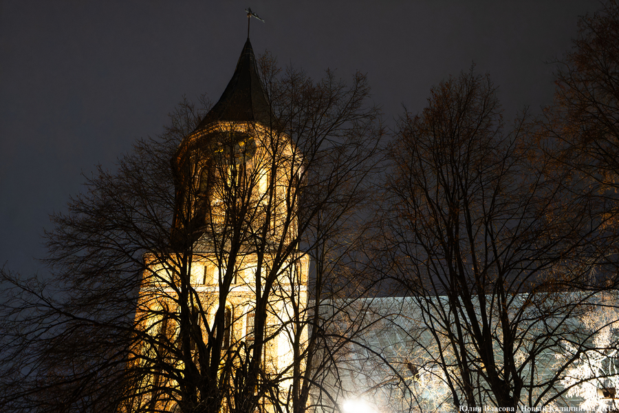 Новогодний вайб на острове Канта: как проходит праздничная ярмарка в Калининграде (фото)