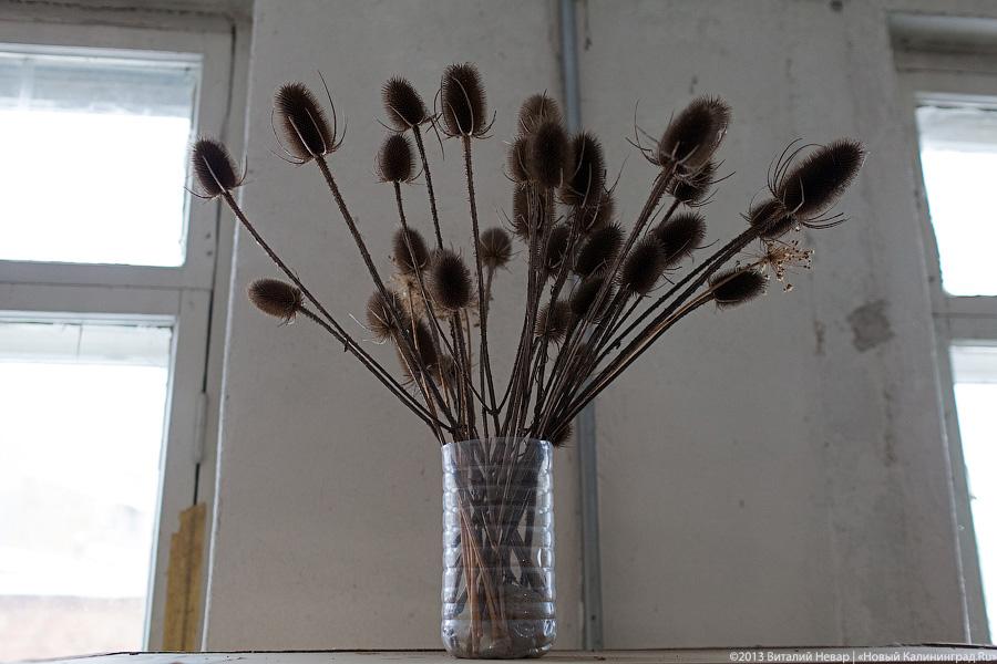 «Пустые дома: судьба „Понарта“»: фотопроект «Нового Калининграда.Ru»