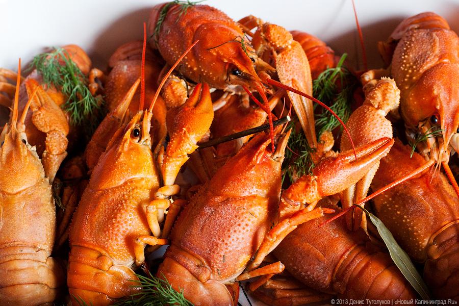 Где раки зимуют: владелец рачевни «Поплавок» Виталий Лозинский