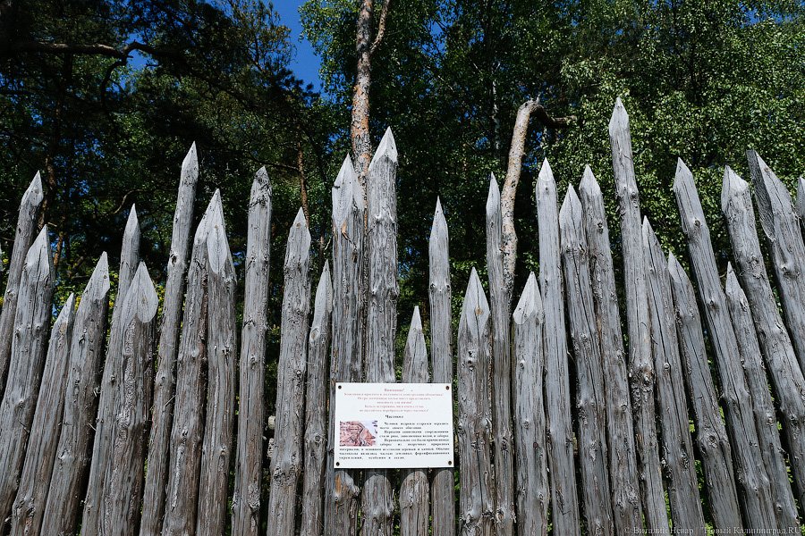 Олаф и его хирд: деревня викингов на Куршской косе стала обитаемой