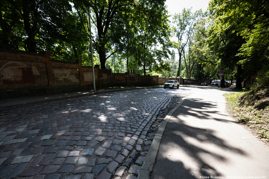 Дятлова о брусчатке на Галицкого: «Мы её чуть-чуть переложим»