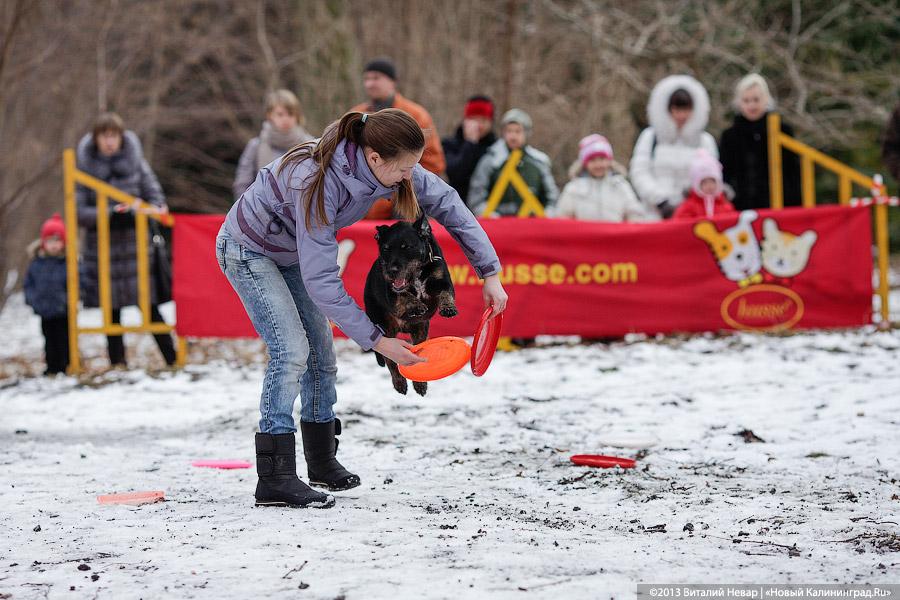 «Праздник для собак»: фоторепортаж из Ботанического сада