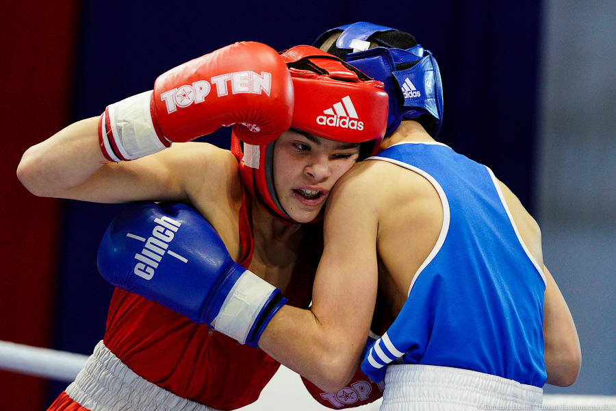 Очередной нокдаун: в Калининграде прошёл международный турнир по боксу «Янтарные перчатки»
