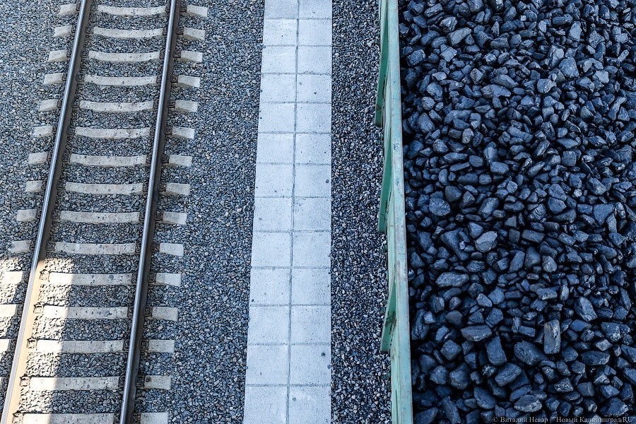 Активистам «Гринпис» грозит до 10 лет тюрьмы за акцию в порту Гданьска