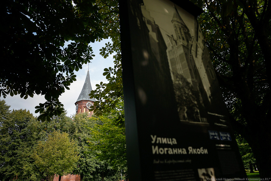 Прогулки по Кнайпхофу: о чём рассказывают новые стенды на острове Канта