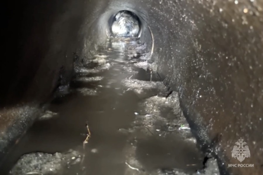 В Немане сотрудники МЧС спасли собаку из трёхметрового колодца