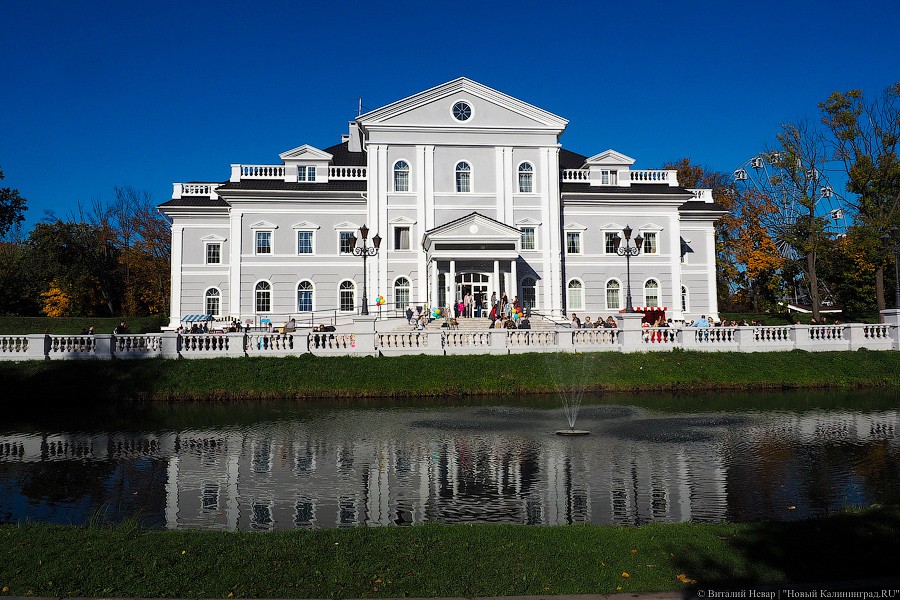 Традиционное осеннее добро: как прошел Благотворительный фестиваль шарлотки