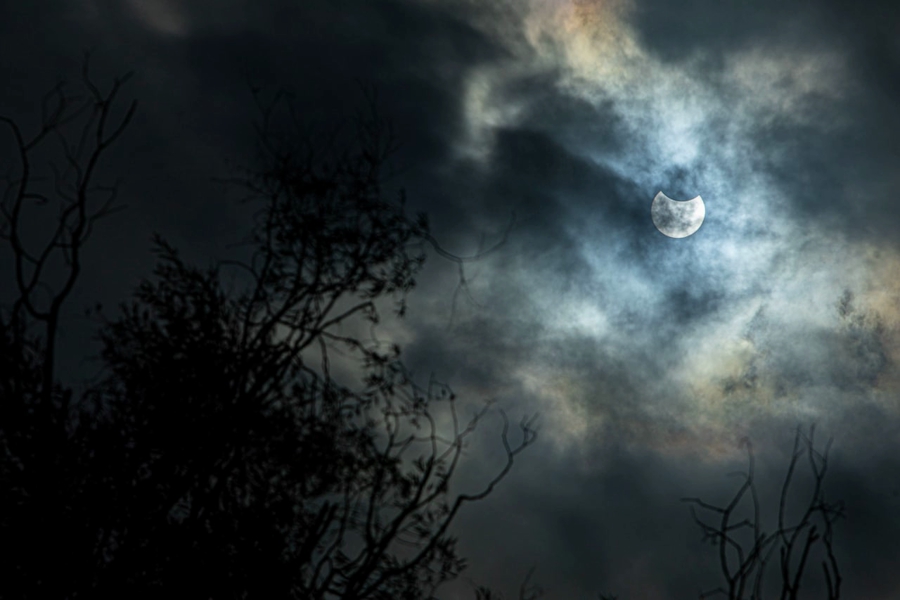 Как выглядело солнечное затмение в Калининграде (фото)