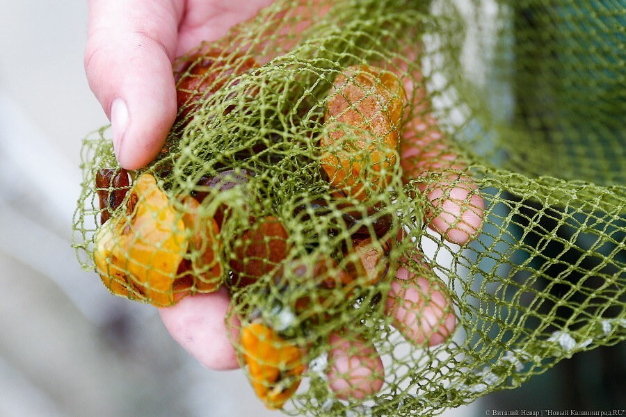Под Калининградом силовики на лодках устроили погоню за ловцами янтаря