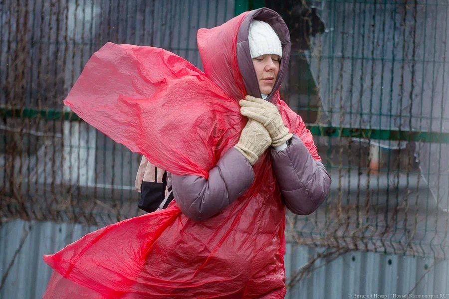 До 28 м/с: в Калининградской области вновь ожидается усиление ветра
