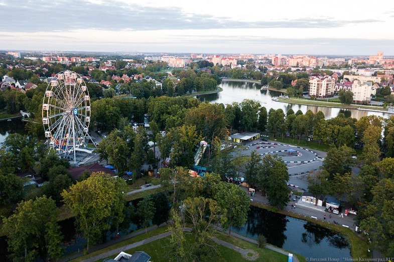 Росстат: более 80% переезжающих в область селятся в Калининграде