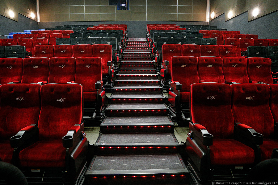 Фото: Виталий Невар / Новый Калининград 