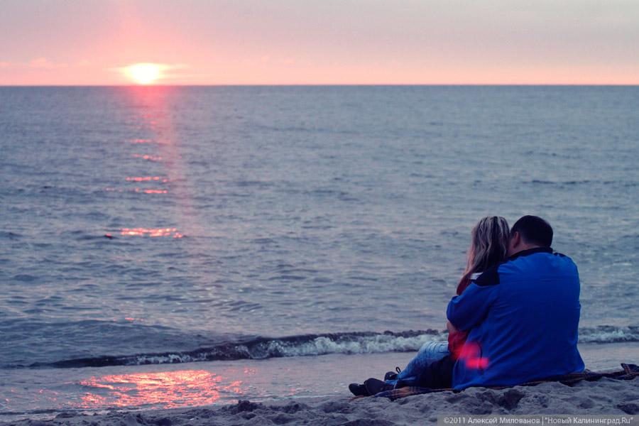 "Насекомая страна": фоторепортаж "Афиши Нового Калининграда.Ru"