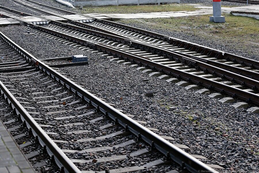 КЖД: с 1 мая начнет курсировать поезд Калининград — Железнодорожный