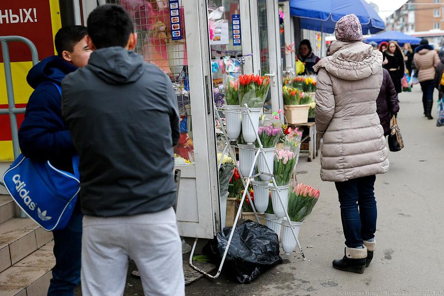 Кругом Голландия: сколько стоят цветы в центре Калининграда